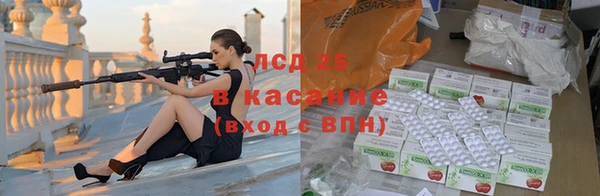 трава Гусиноозёрск
