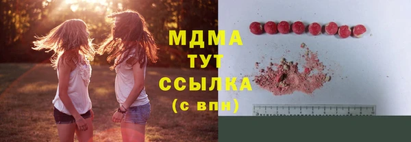 трава Гусиноозёрск