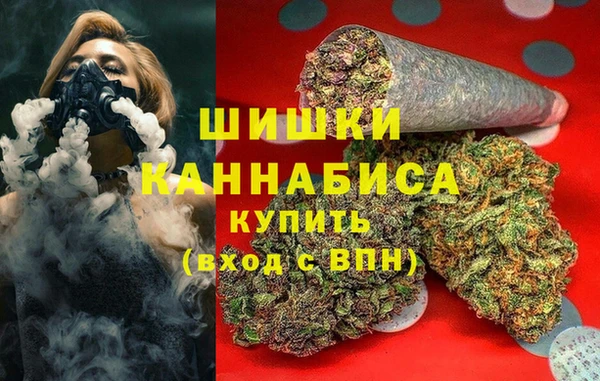 бошки Гусев