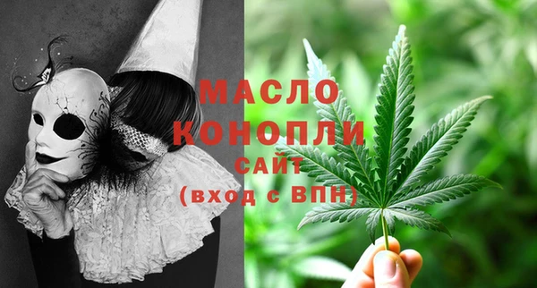 трава Гусиноозёрск
