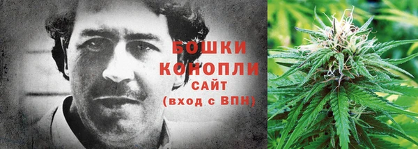 трава Гусиноозёрск