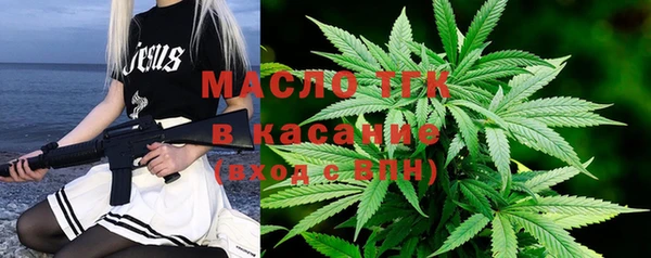 трава Гусиноозёрск
