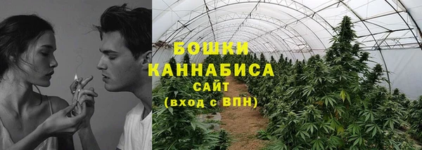трава Гусиноозёрск