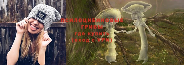 бошки Гусев