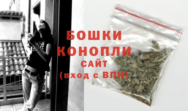 бошки Гусев