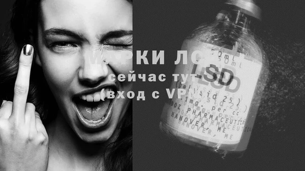 трава Гусиноозёрск