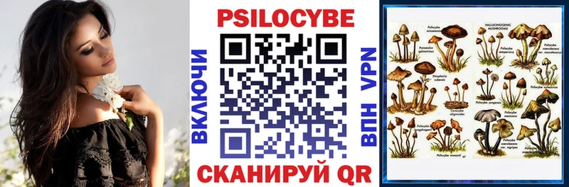 Галлюциногенные грибы GOLDEN TEACHER  Озёры 